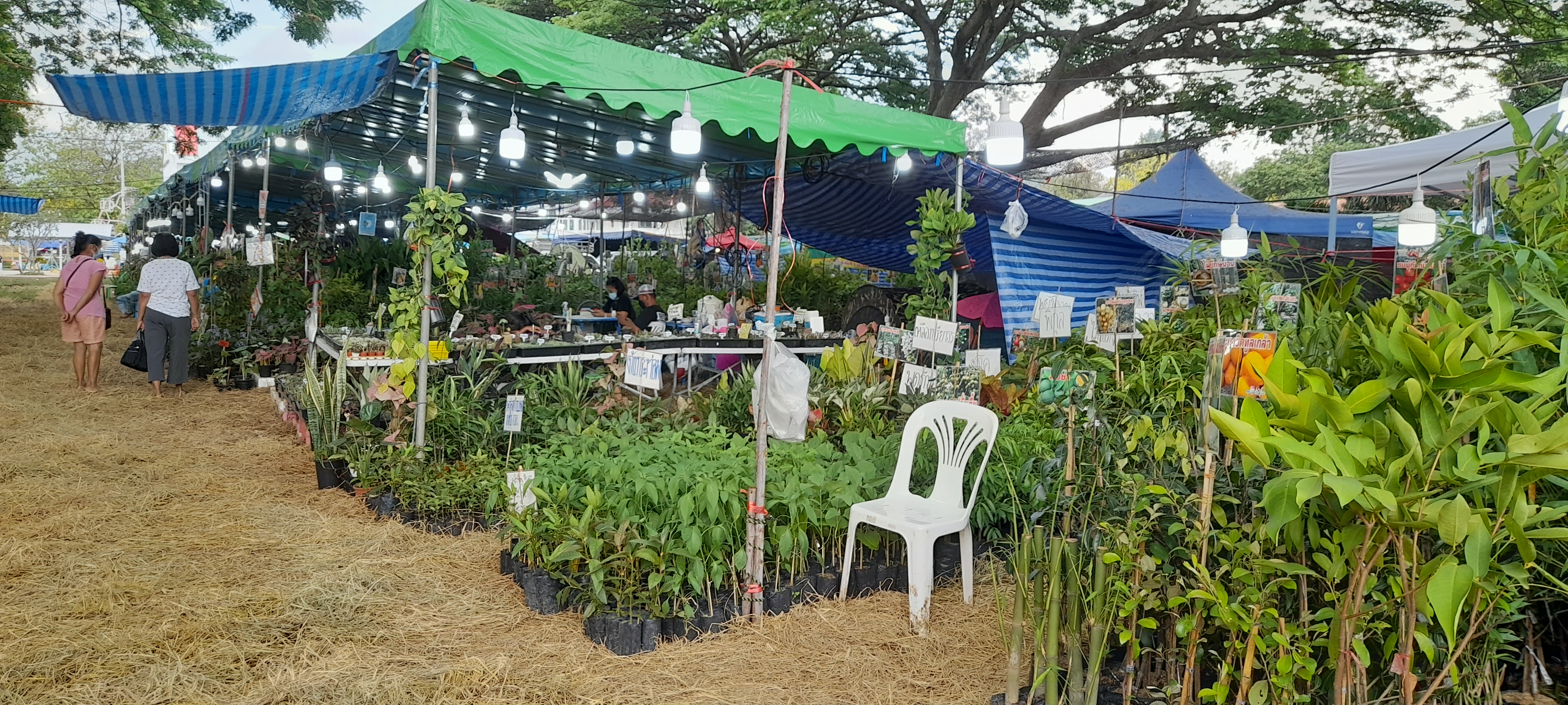 บ้านหนองเรือ