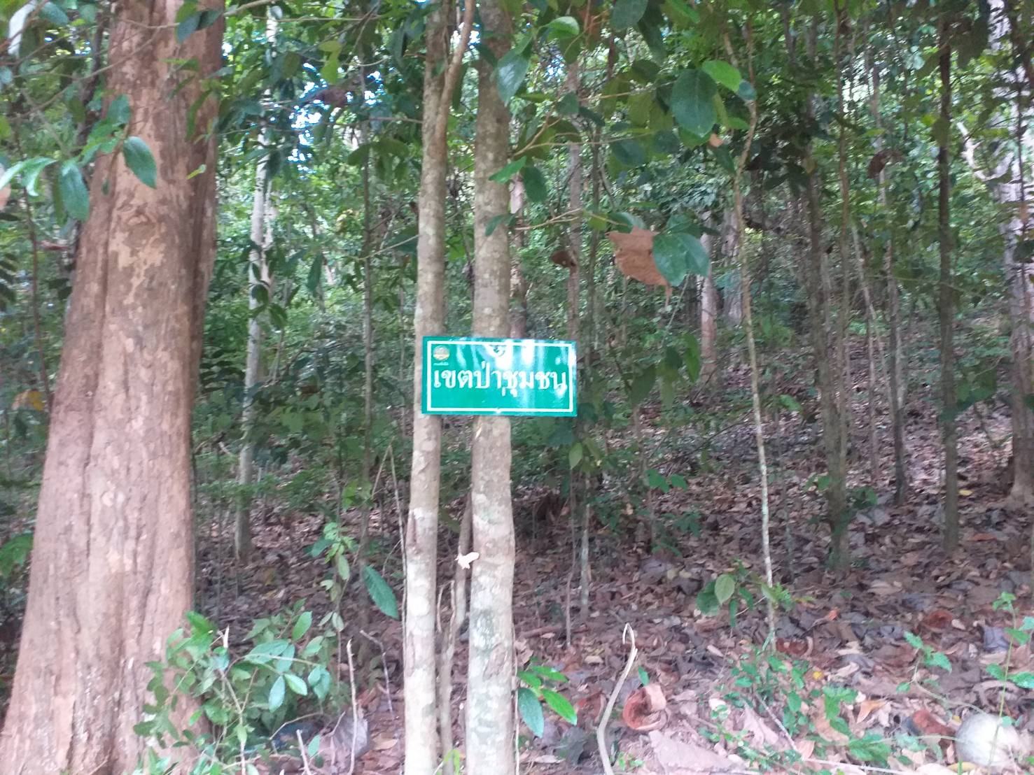 บ้านหนองจันทร์