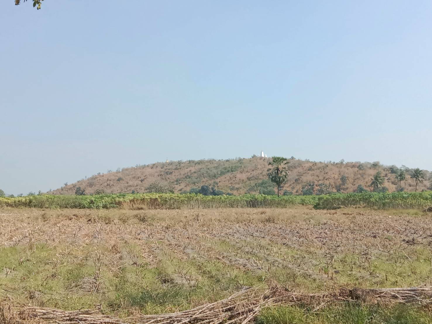 บ้านหนองบัว