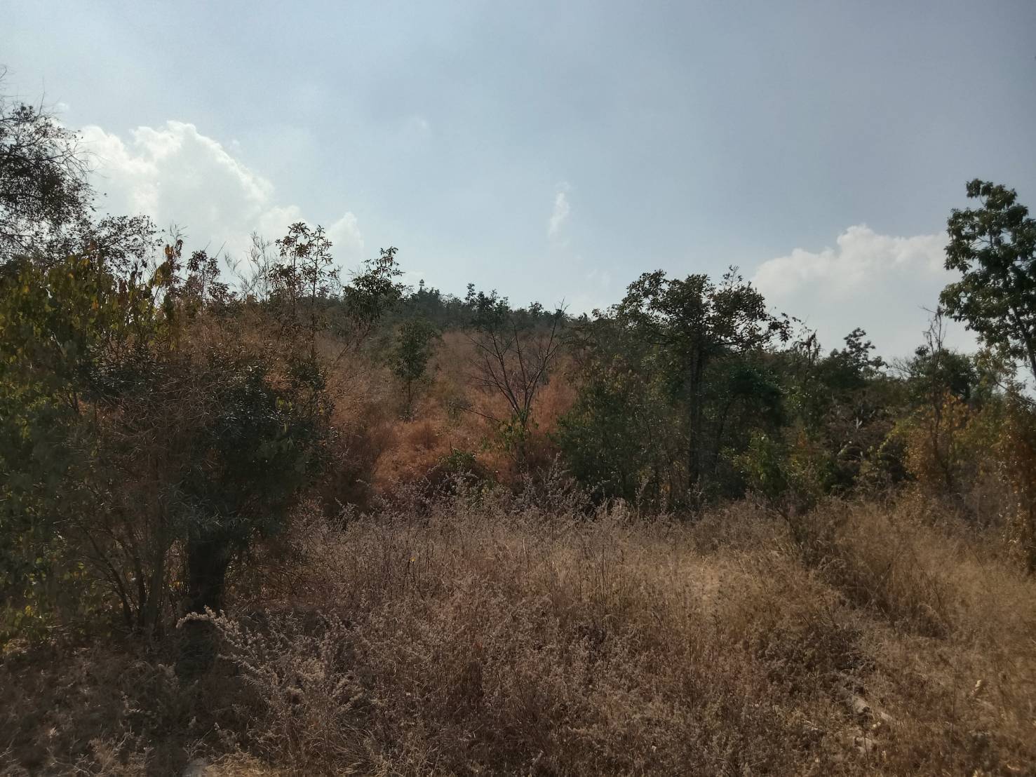 บ้านหนองบัว