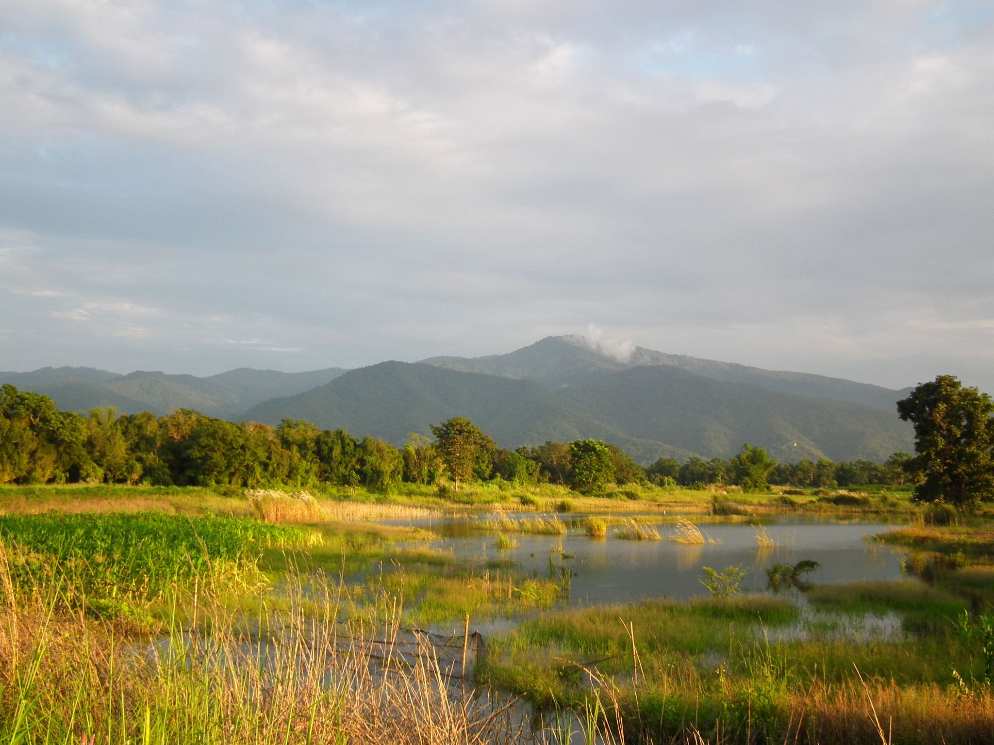 บุญเรือง