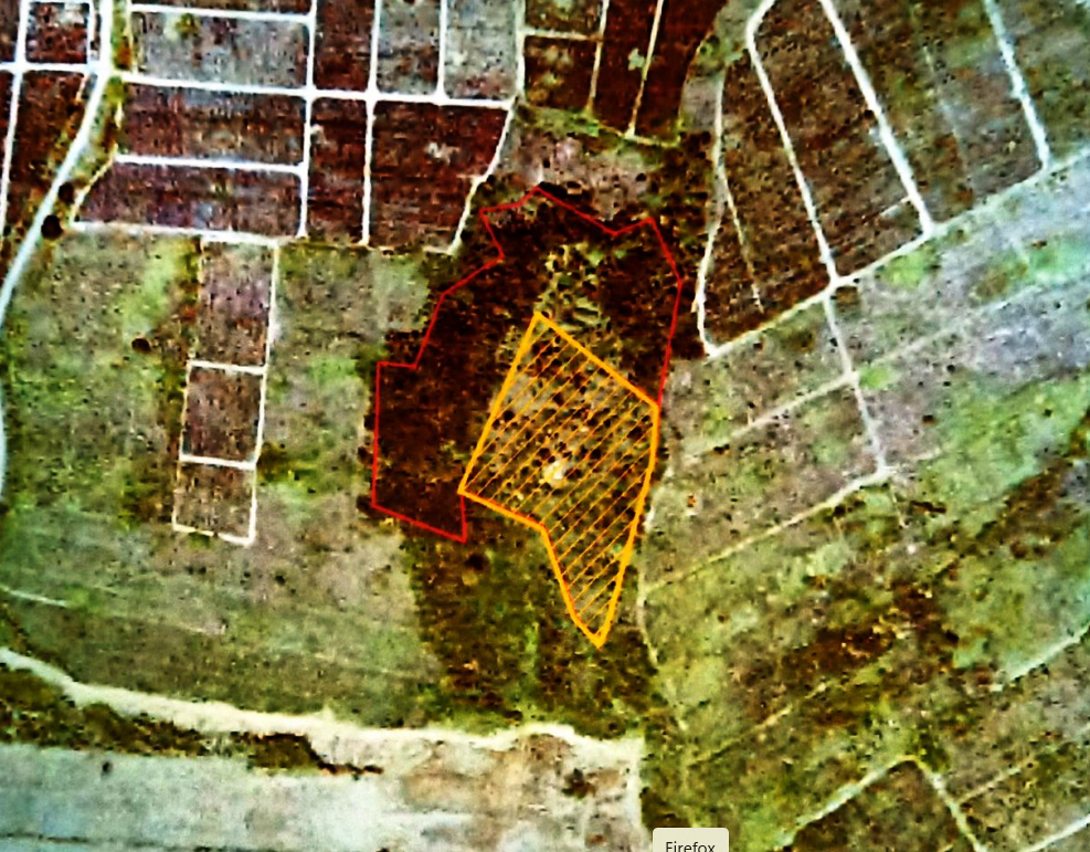 บ้านหนองเสือ